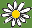 Disabled Senior Care Services
